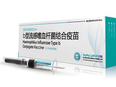 hib疫苗是什么