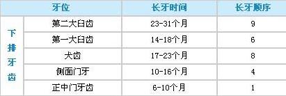 婴儿几个月长牙 婴儿几个月长牙