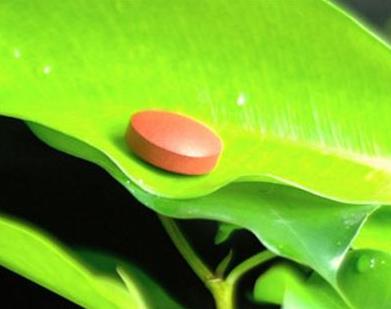 【叶酸是什么】叶酸的作用？叶酸什么时候吃最好