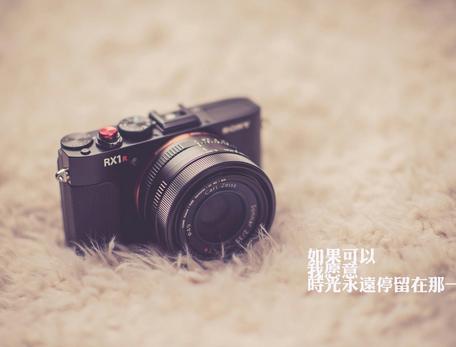 属羊人出生月的命运 属羊人出生月的命运