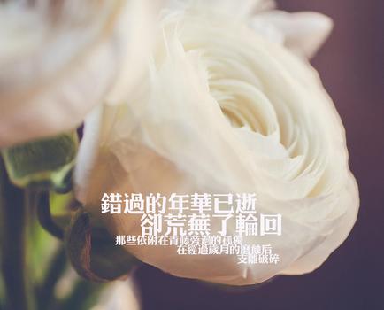 怎么追天蝎座女生 怎么追天蝎座女生