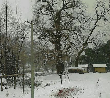 梦见下雪是什么意思 梦见下雪是什么意思