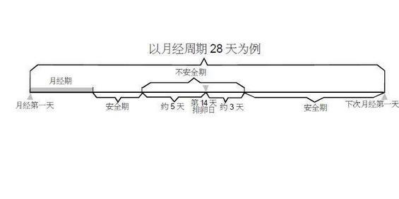生理周期计算 女性生理周期表示着什么你造么