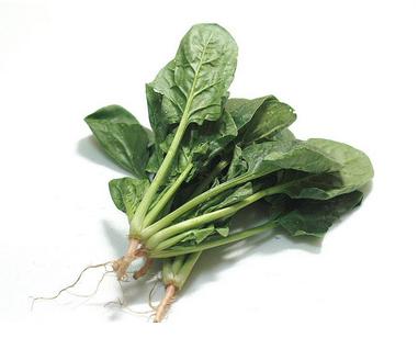 长高的科学方法