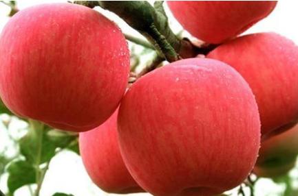 吃什么美容养颜 吃什么美容养颜