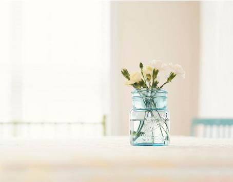 2018年属狗几月出生好 2018年属狗几月出生好