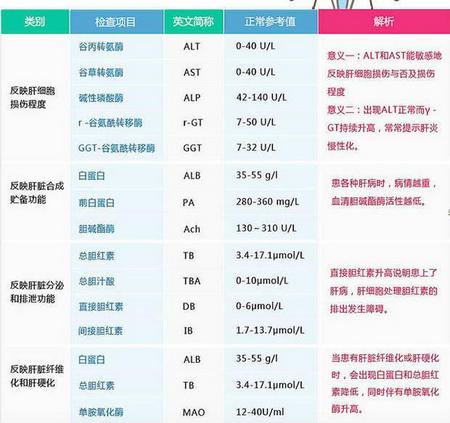 肝功能检查结果分析