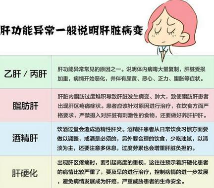 肝功能检查结果分析