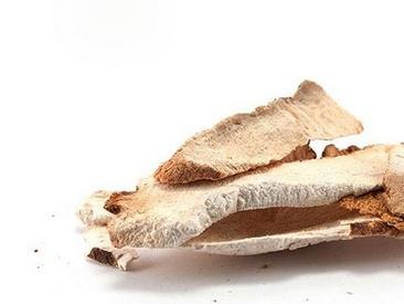 土茯苓的功效与作用