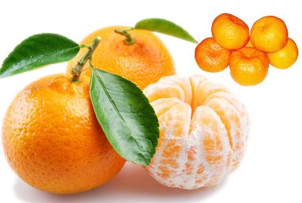 口腔溃疡吃什么水果