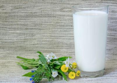 胃炎吃什么食物好