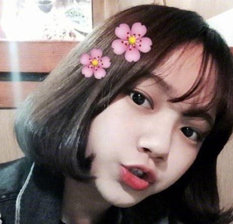 2017圆脸短发最新发型