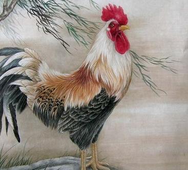 属鸡的和什么属相最配 属鸡的和什么属相最配