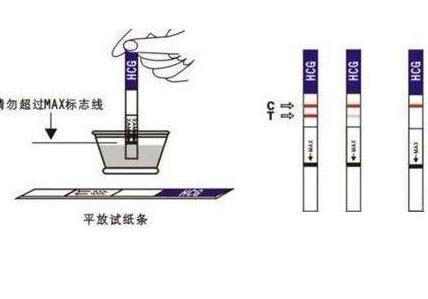 怀孕多久能测出来