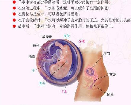 羊水破了是什么症状