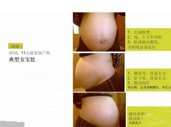 怀女孩的肚子形状图 怀女孩的肚子形状图