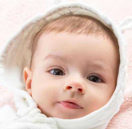 生肖狗几月出生最好2018 生肖狗几月出生最好2018