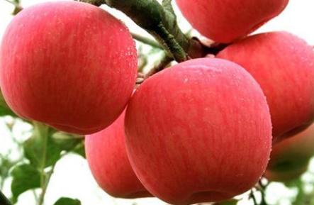 孕妇应该多吃什么