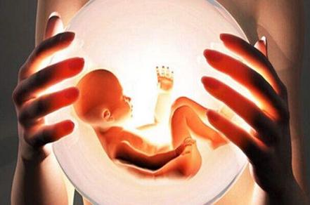 如何提高卵子质量