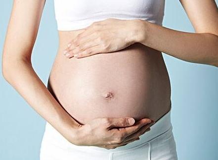 怀孕6个月肚子有多大