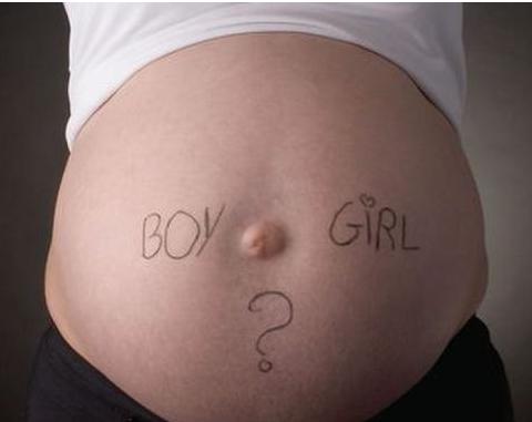 b超怎么看胎儿性别