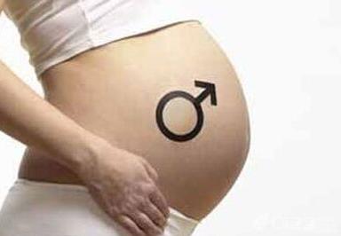 四维彩超看胎儿性别