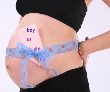 胎儿性别早知道 胎儿性别早知道