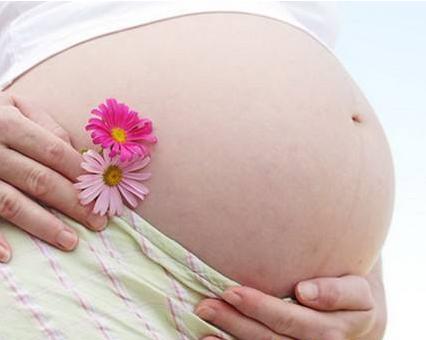 怎样辨别胎儿性别