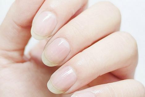 粉嫩干花美甲教程 粉嫩干花美甲教程