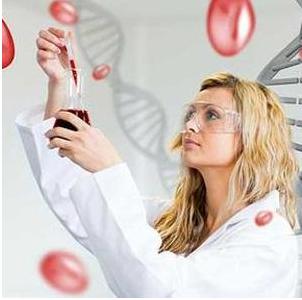 地中海贫血 地中海贫血