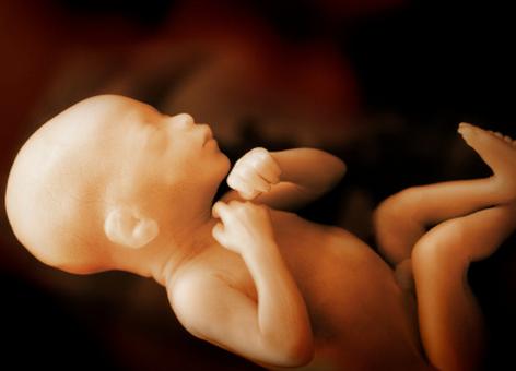 七个月胎儿四维彩超 七个月胎儿四维彩超