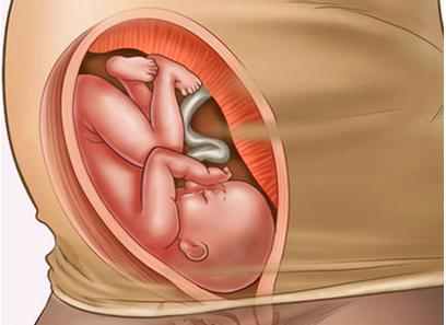 怀孕九个月男胎儿图 怀孕九个月男胎儿图