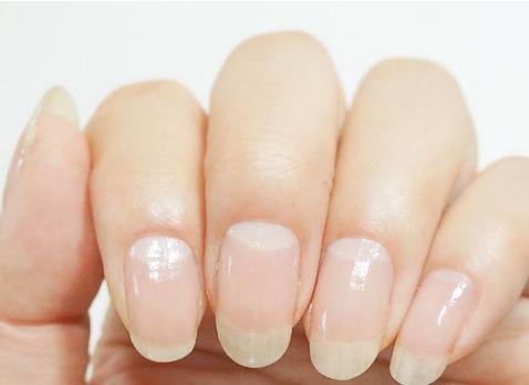 素雅蝴蝶结美甲教程