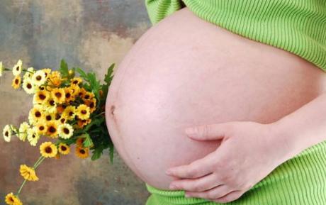 生男生女测算表 生男生女测算表