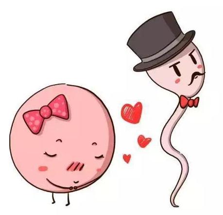 清宫表准吗？2017生男生女清宫表准吗[预测表]