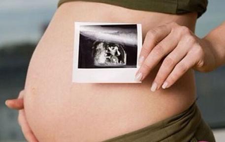 怀孕5个月吃什么好