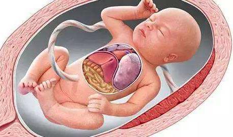 胎儿宫内窒息 胎儿宫内窒息