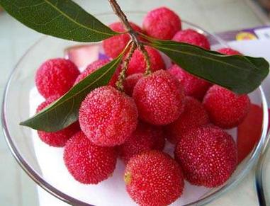 孕妇能不能吃杨梅