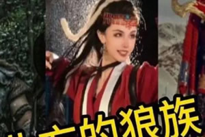 北方的狼族是什么梗 北方的狼族是什么歌