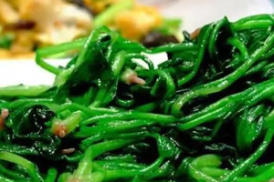 吃完菠菜千万不能碰的5种食物 黄瓜和豆腐上榜 吃完菠菜千万不能碰的5种食物 黄瓜和豆腐上榜