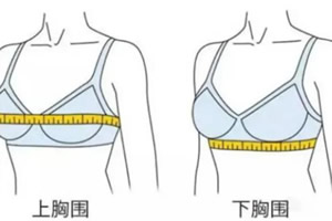 女生胸围88是多大罩杯(是胸部外部周长) 女生胸围88是多大罩杯(是胸部外部周长)