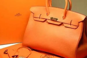 奢侈品女包十大名牌排行榜(路易·威登名牌包)