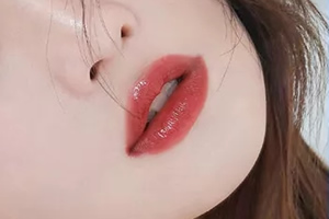 十大黄皮显白口红色号(圣罗兰黄皮必入色号)