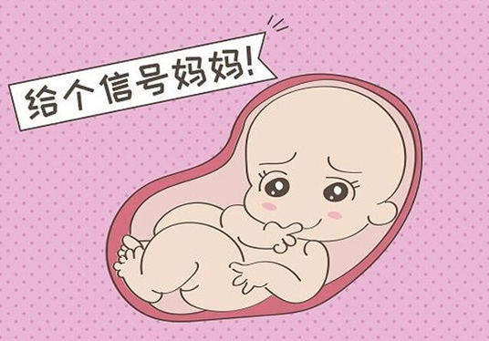 胎儿臀位的危害有哪些 胎儿臀位怎么纠正图解