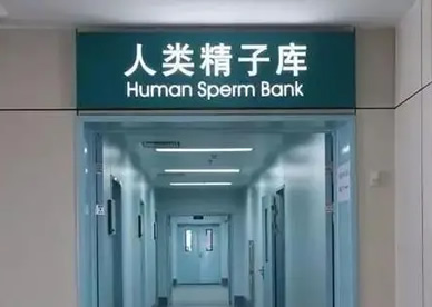 2023国内单身女性申请精子库精子需要什么条件