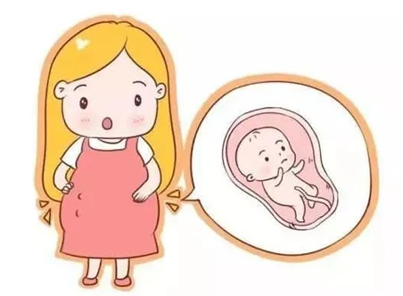 如何数胎动是正确的 该怎么数？