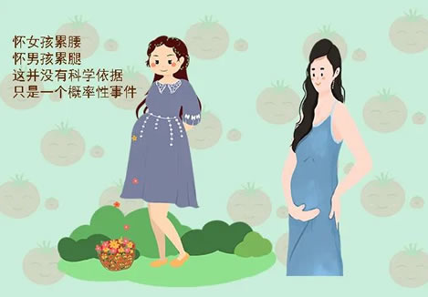 怀女孩累腰怀男孩累腿这个说法准吗