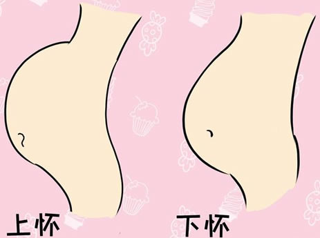 上怀是女下怀是男 该怎么区分呢？