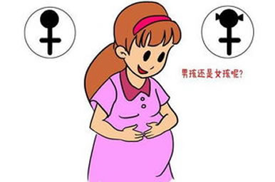 怎样算生男生女月份 生男生女月份表