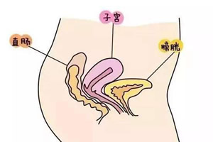 女性怀孕安全期一般是哪几天(生理期以外都是安全期)